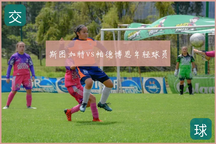 斯图加特vs帕德博恩年轻球员